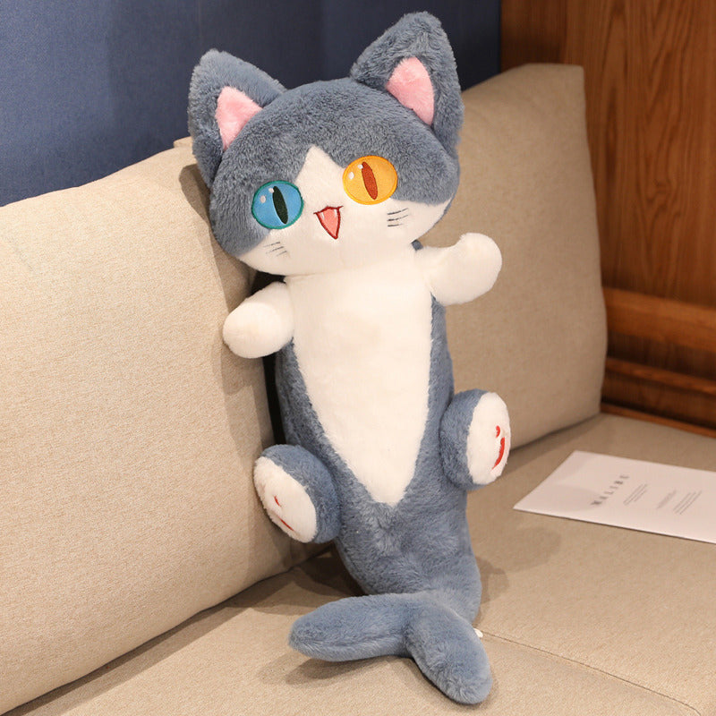 Aussergewöhnliche Haifisch-katze