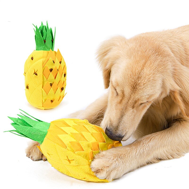 Schnüffelspiel Ananas