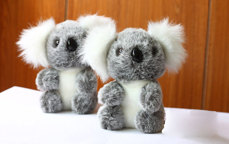 Zuckersüsse Koala
