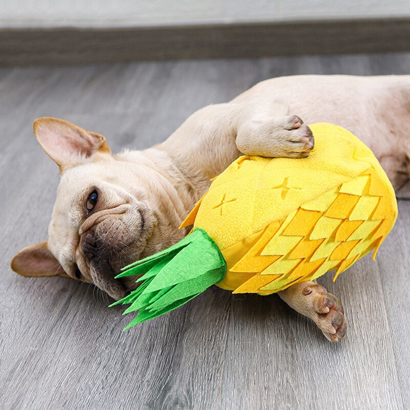 Schnüffelspiel Ananas