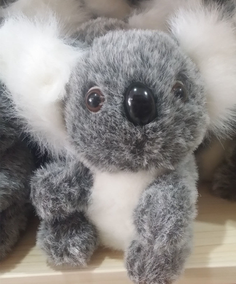 Zuckersüsse Koala