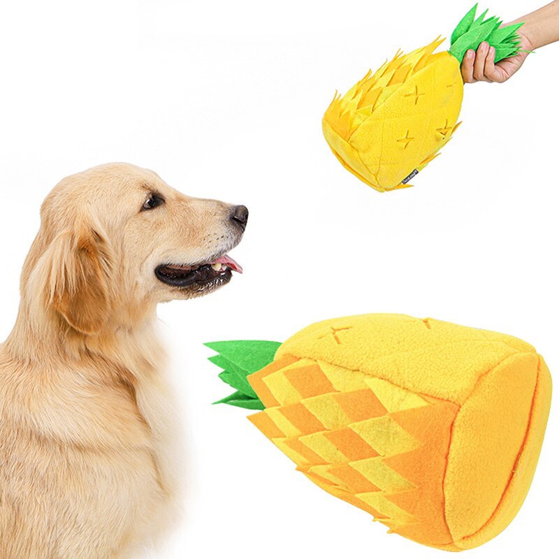 Schnüffelspiel Ananas