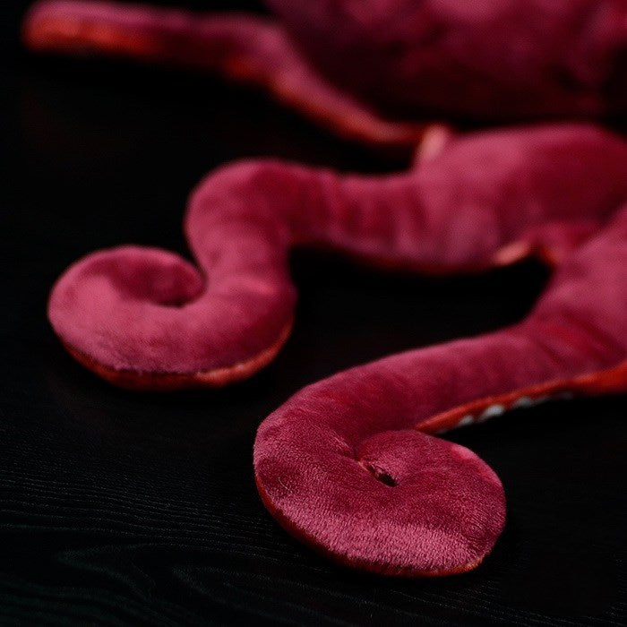 Luxus Oktopus