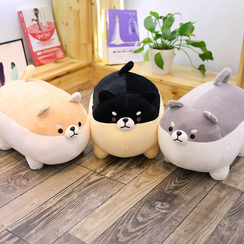 Kuschelweiche Shiba Inu