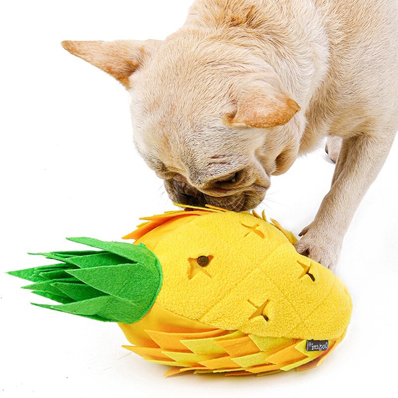 Schnüffelspiel Ananas