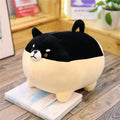 Kuschelweiche Shiba Inu