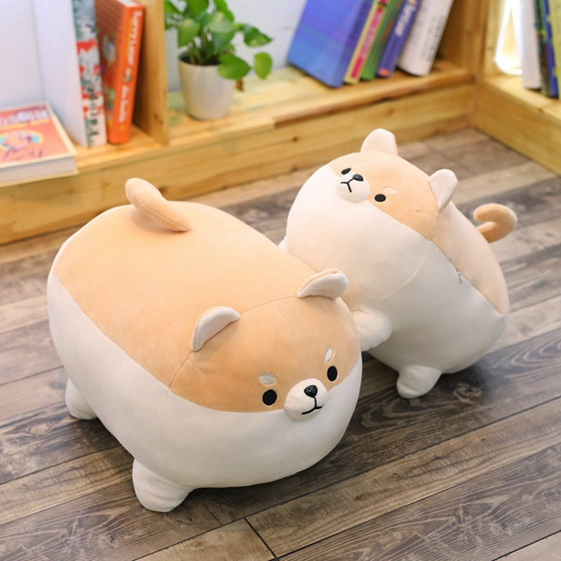 Kuschelweiche Shiba Inu
