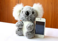 Zuckersüsse Koala