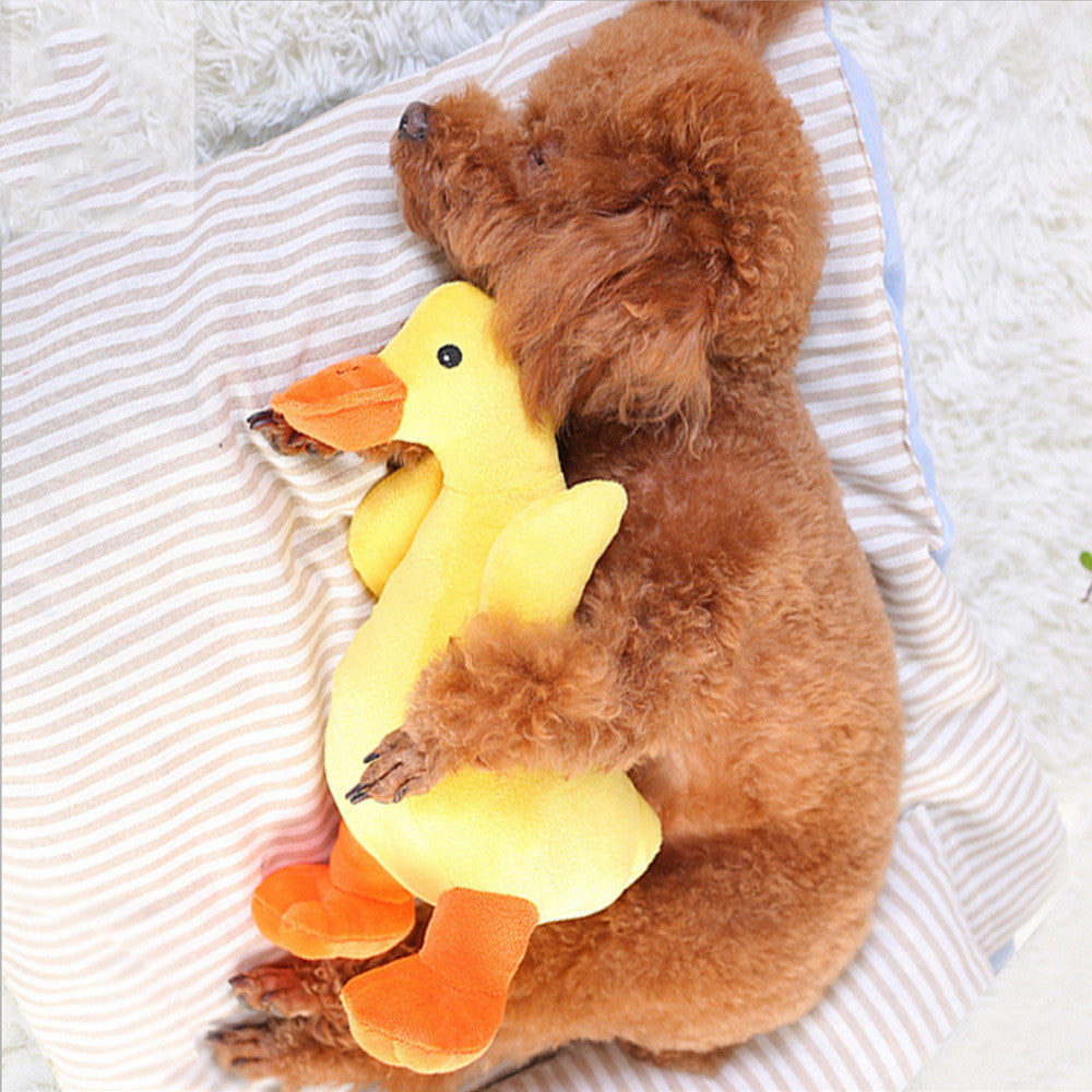 Süsse gelbe Ente