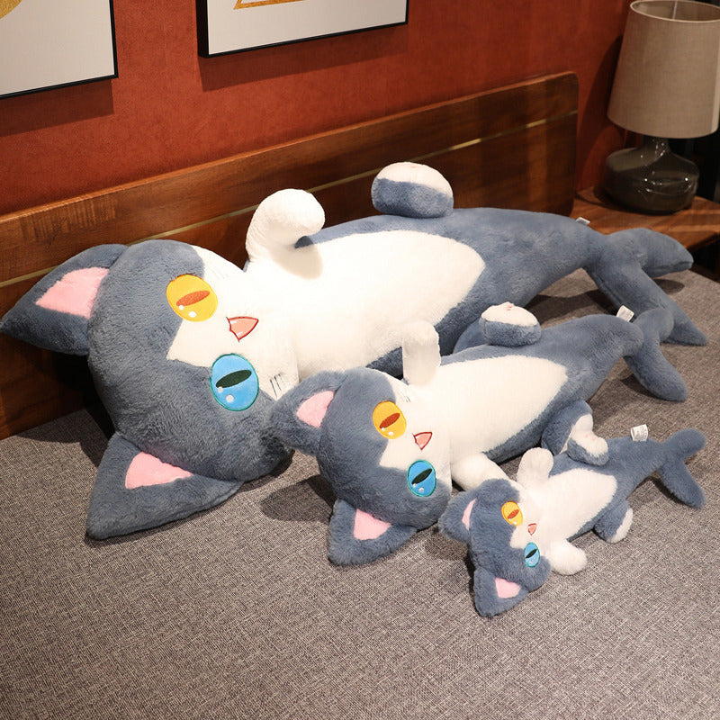 Aussergewöhnliche Haifisch-katze
