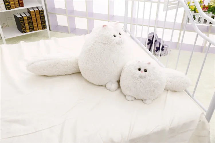 Niedliche persische Katze