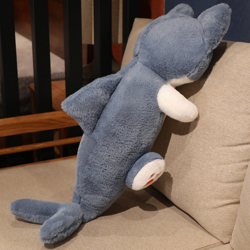 Aussergewöhnliche Haifisch-katze